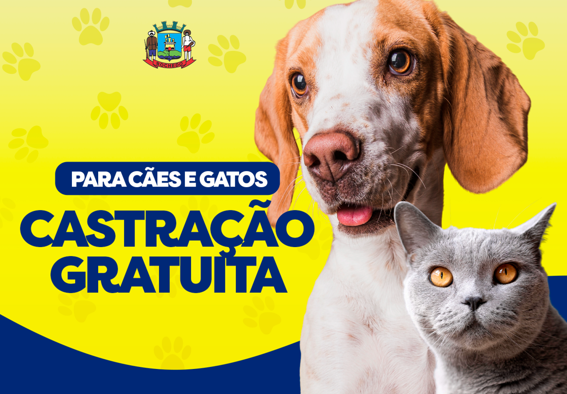 Castração Gratuita em breve!