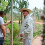 Horto Florestal
