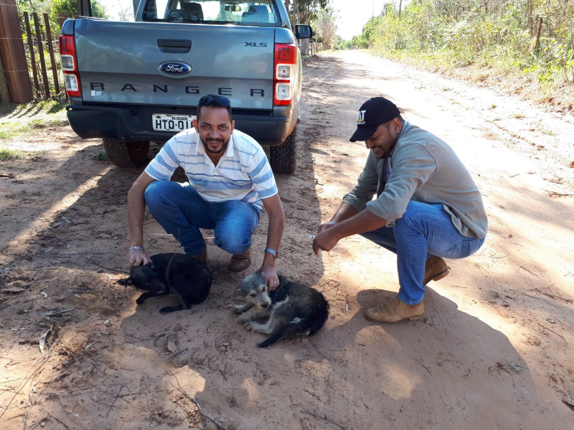 Começou a campanha de vacinação antirrábica de cães e gatos na zona rural do Município.