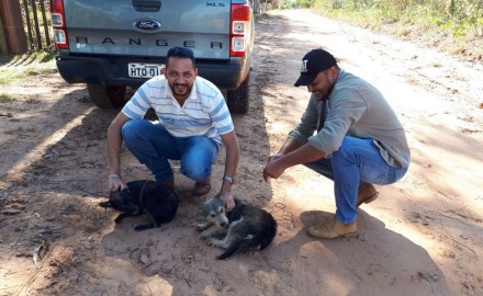 Começou a campanha de vacinação antirrábica de cães e gatos na zona rural do Município.