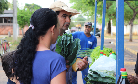 Feirinha da agricultura familiar de Rochedo se consolida com sucesso.