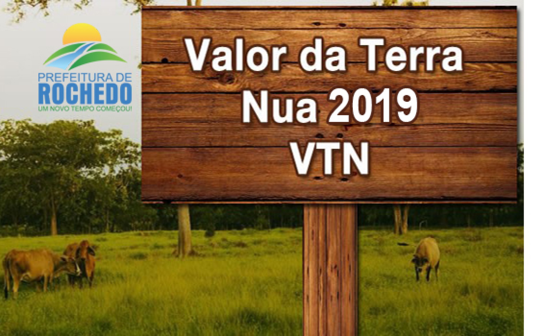 VALOR DA TERRA NUA 2019
