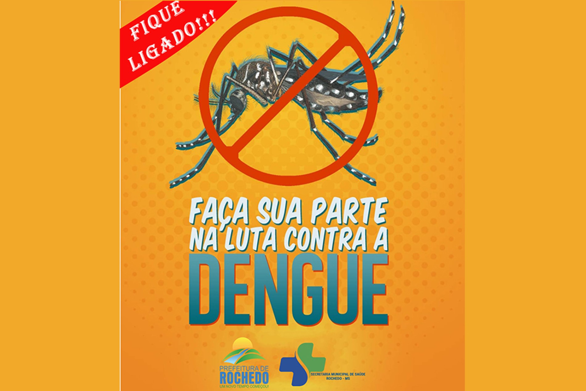 AÇÃO DE COMBATE AO MOSQUITO AEDES AEGYPTI
