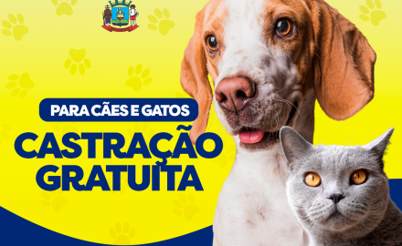 Castração Gratuita em breve!